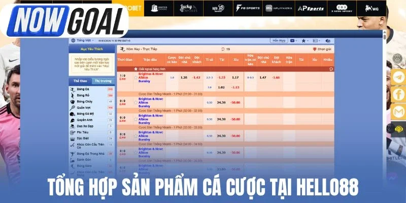 Tổng hợp sản phẩm cá cược tại Hello88