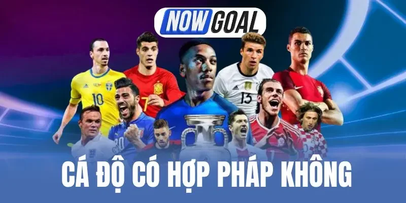 Cá Độ Có Hợp Pháp Không? Quy Định Nên Biết Khi Giải Trí