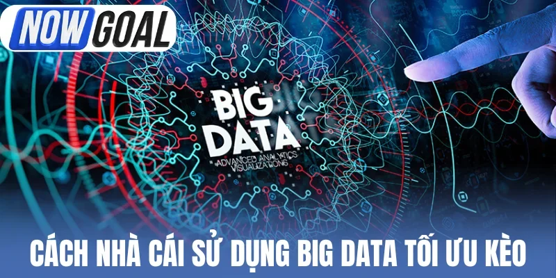 Cách nhà cái sử dụng Big Data tối ưu kèo
