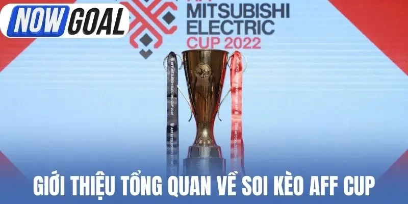 Giới thiệu tổng quan về soi kèo AFF Cup