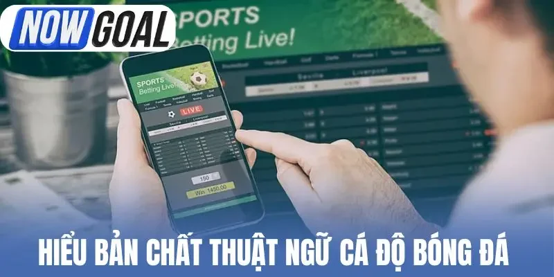 Hiểu bản chất thuật ngữ cá độ bóng đá 