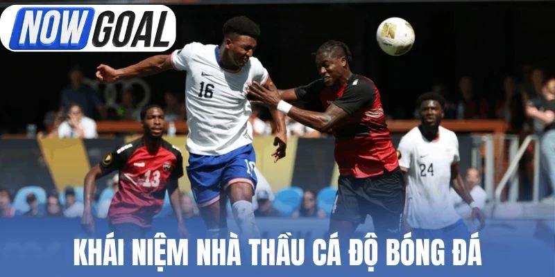 Khái niệm nhà thầu cá độ bóng đá